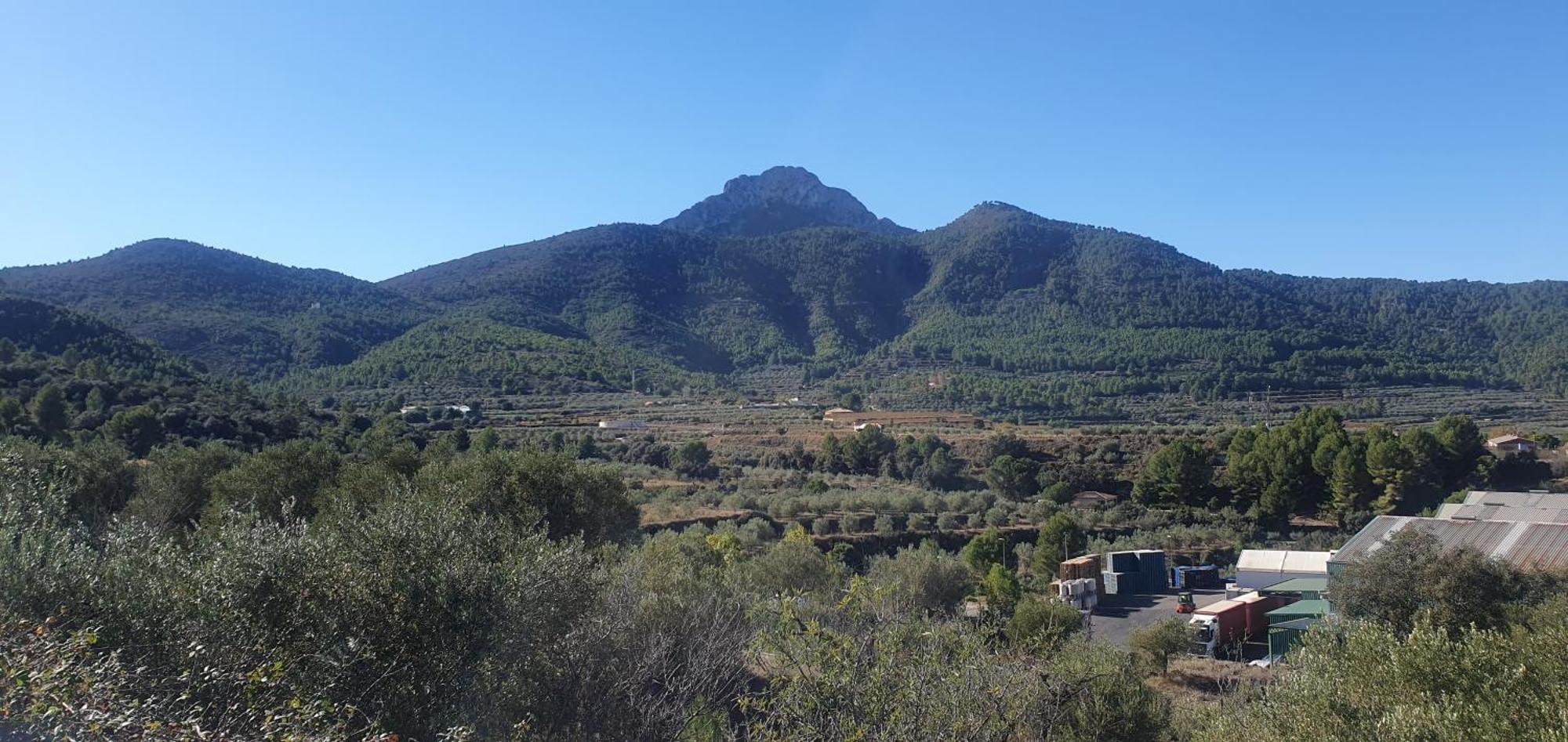 Casa Salem-Benicadell Villa Dış mekan fotoğraf